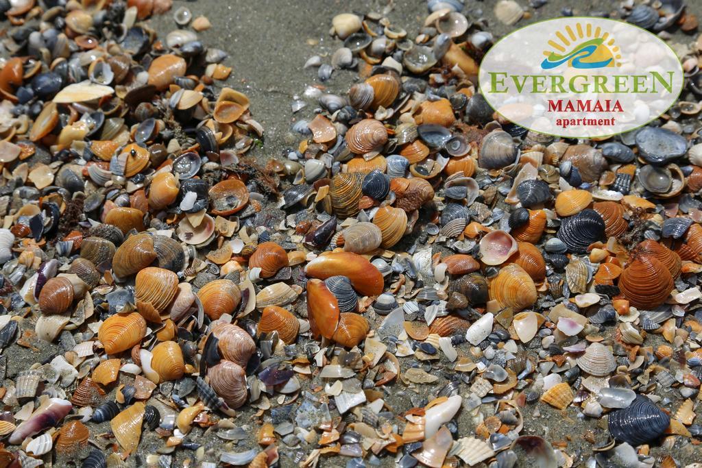 Evergreen Vlas Mamaia Sud Bagian luar foto