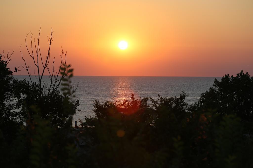Evergreen Vlas Mamaia Sud Bagian luar foto